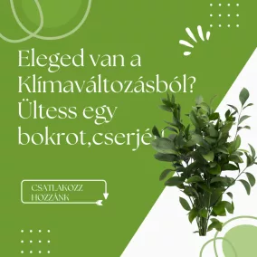 Haben Sie genug vom Klimawandel? Pflanzen Sie einen Strauch!
