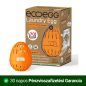 Ecoegg Waschmittelkapseln 70 Orangenblüten-Duft