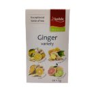 Apotheke - Gyömbér és Méz Tea, 20 filter - Premier Selection