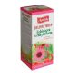 Apotheke echinacea szirup homoktövissel 250g