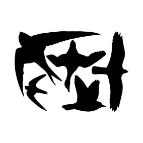   Esschert Design Madárriasztó, madár sziluett ablakmatrica a madarak épségéért