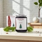 Drapal - TANNINI Erdeifenyőrügy Szirup Kakukkfűvel és Lándzsás Útifűvel 450g/340ml