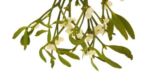 Drapal - Fagyöngy Préslé, 200ml