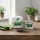 Dr. Organic - Krémkoncentrátum bio Aloe verával