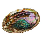 Croll&Denecke Muschelschalen-Schale