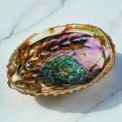 Croll&Denecke Muschelschalen-Schale