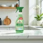Frosch Fensterreiniger mit Spiritus 500 ml